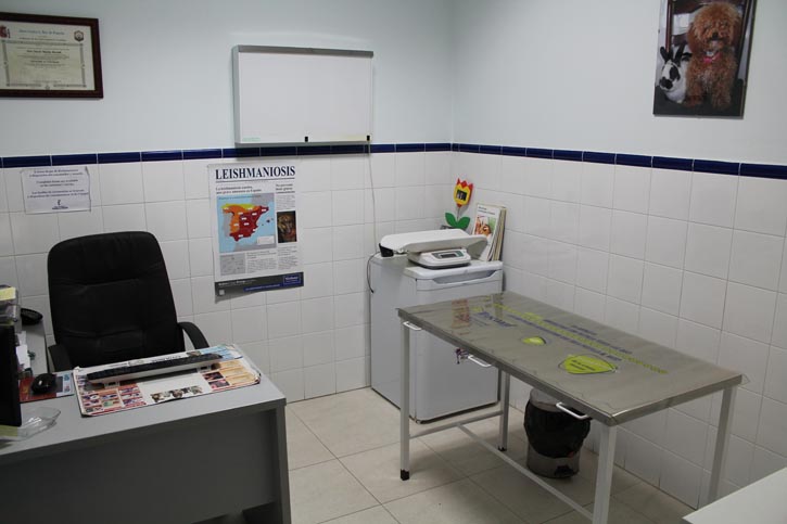 Sala de Consulta Veterinaria 2, en Clínica Jayda de Tomelloso.